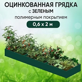 Грядка зеленая (0,6 х 2)